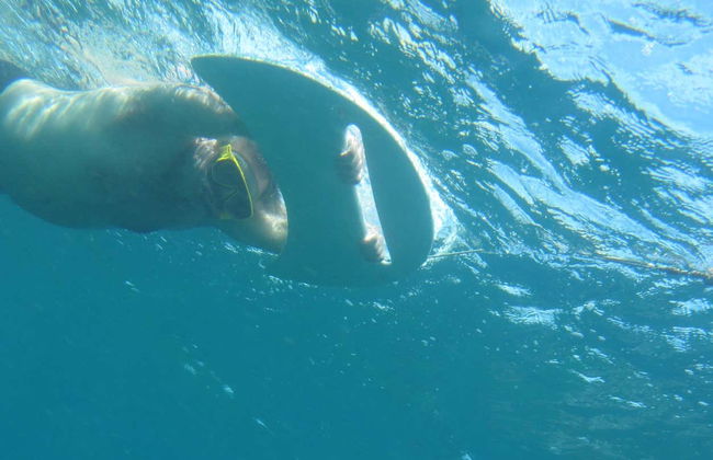 Balade en bateau au Morro Dois Irmãos - Photo 6