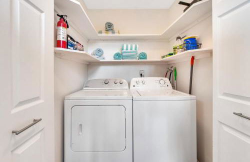 Sea Turtle Life - Photo 33