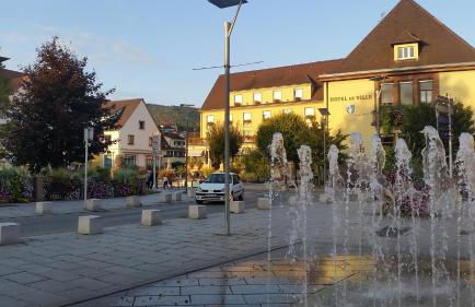 Meublés du 25 N3 Studio 1er Etage - Foto 20