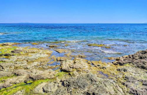 Maison Village Cosy 450m de la plage , 2km de la ville Cap Corse - Foto 7