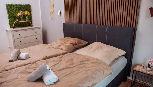 sunny & cozy - Netflix - WIFI - City - 4 Person - Foto 2