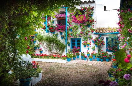 Apartamento Anita's Place Cordoba - Foto 22