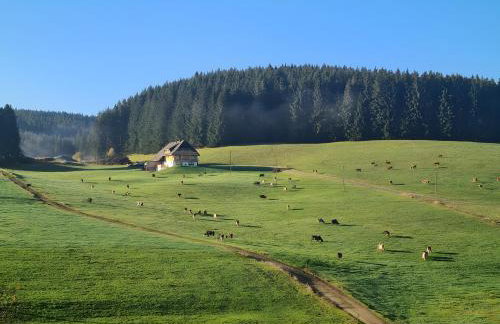 Ferienhaus Wendelhof - Foto 9