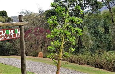 Tékinfin, você chegou! Lindo sítio em Secretário! - Foto 74