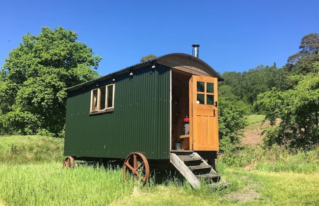 Cosy Woodland off Grid Shepherds Hut - Rowan - Foto 1