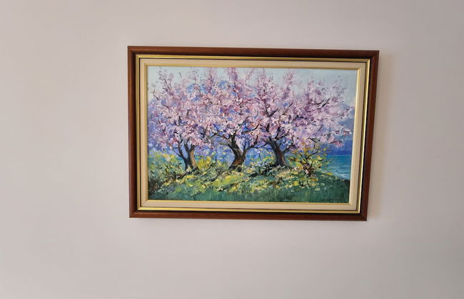 Thoma's K Studios - Photo 12