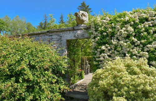 The Courtyard Suite - Photo 28