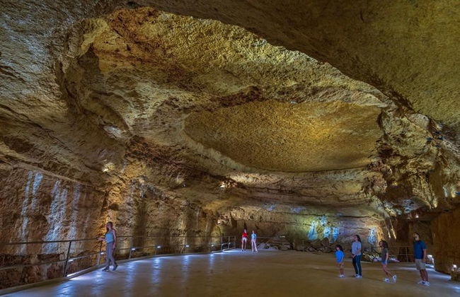 Natural Bridge Caverns Hidden Wonders Tour - Foto 6