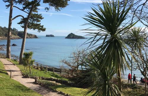 Meadfoot Bay Apartment at Hesketh Crescent - Foto 13