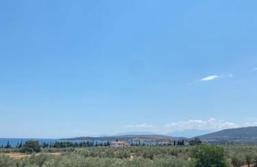 Georges Villa Galaxidi, family, pool and garden - Foto 77