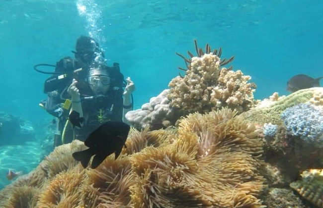 HQH Sea View Apartment - Foto 29