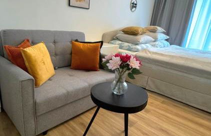 HIGH CLASS - Design Apartment - Favorite Place - Full Equipment - Public Transport - Foto 5