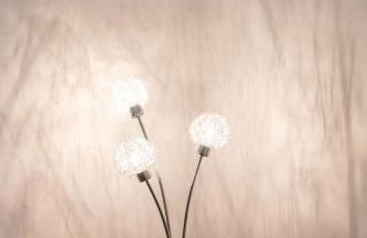 Glebe Street Apartment - Foto 41