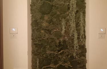 Langhe & Wine Accommodation - Foto 21