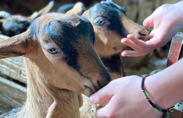 LE VERTBRUCHE - Gîte avec superbe vue pour 15 pers - Foto 39