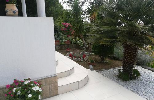 Apartmani Ivić Paka Rab - Photo 43