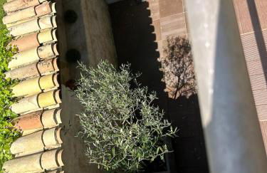 TI ST BARTH - Maison cosy - Dispo dès le 01 mars - Foto 12