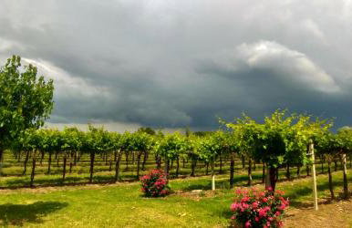 Agriturismo Fondo Gesù - Foto 24