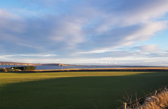 Apartment 65B - Photo 8