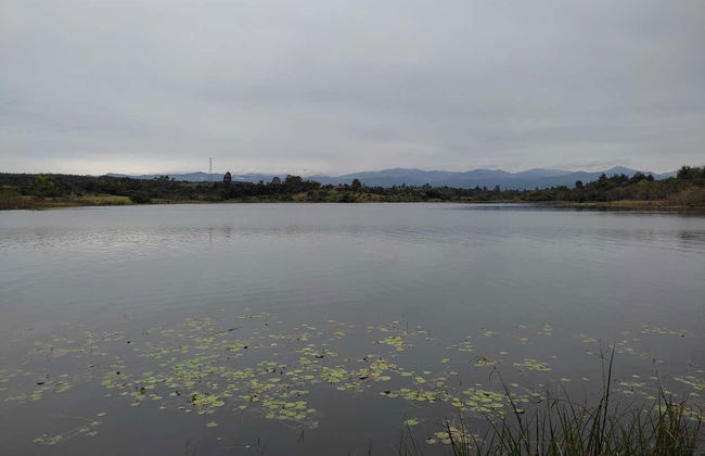 Excursion to Lago El Bolsón - Photo 2