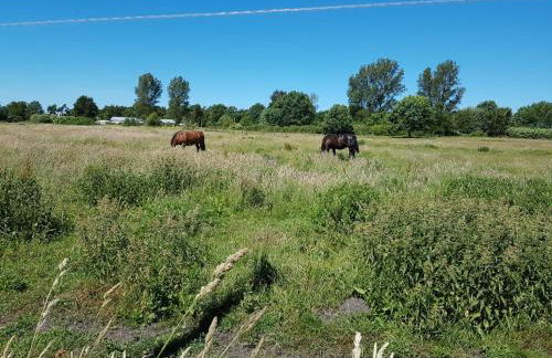 Ferienhäuschen - Foto 12