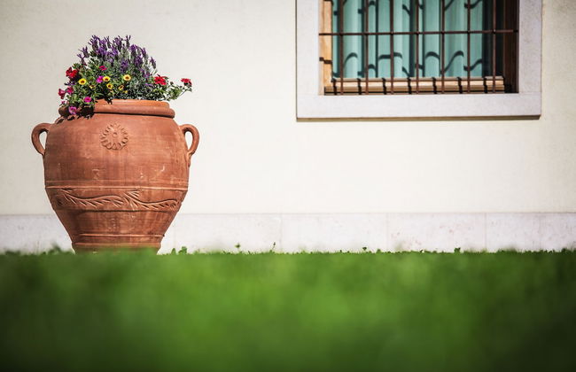 Agriturismo La Pertica - Photo 45