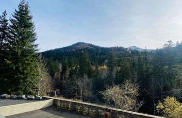 Appartement résidence le bec de l’aigle - Foto 16