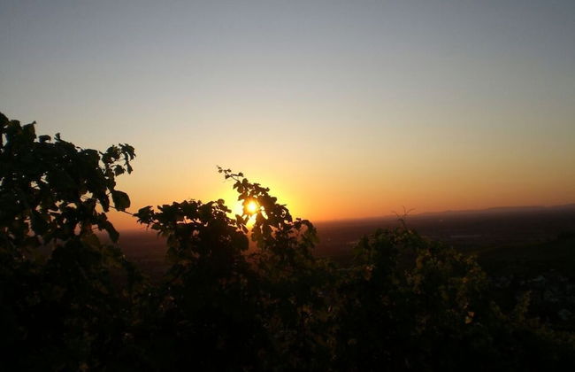 Holiday Apartment Kastanienhalde - Foto 11