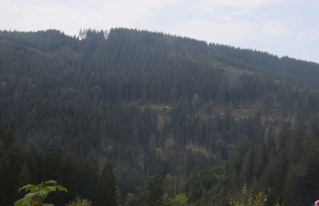Charming Attic Hideaway, Harz - Foto 41