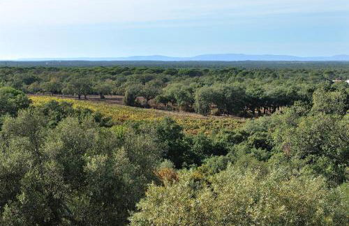 A Serenada Enoturismo - Foto 73