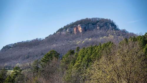 Buffalo River Misty Creek Lodge - Foto 3