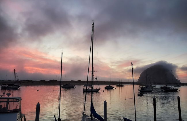 Gray's Inn & Gallery - Foto 40