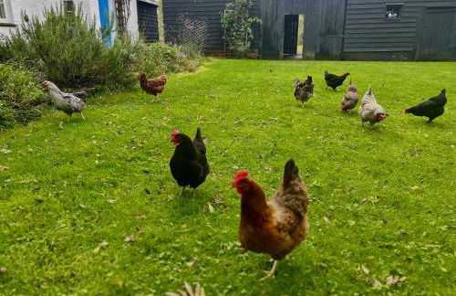 Bessie May Cottage - Foto 43