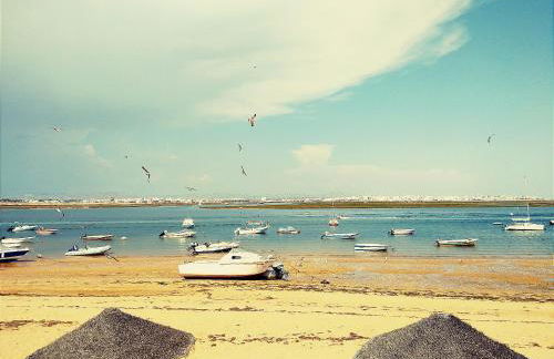 Martin House - Montenegro - FARO - ALGARVE - Foto 19