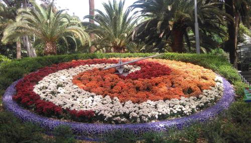 Lalas Ramblas Estudio Santa Cruz Tenerife - Foto 2