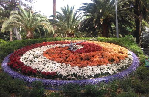 Lalas Ramblas Estudio Santa Cruz Tenerife - Foto 2