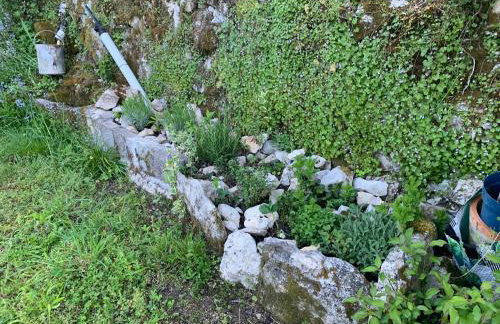 La source aux chevreuils - Foto 8