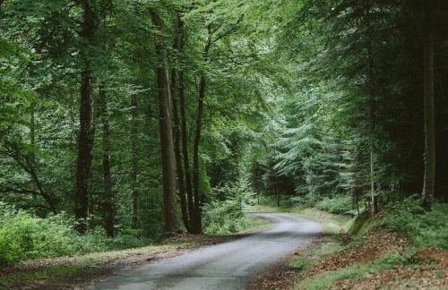 PETITE MAISON de CHARME DANS DOMAINE BOISÉ - Foto 12