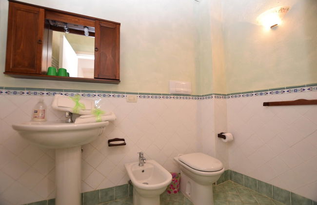 Mimosa in Hilly Area - Foto 12