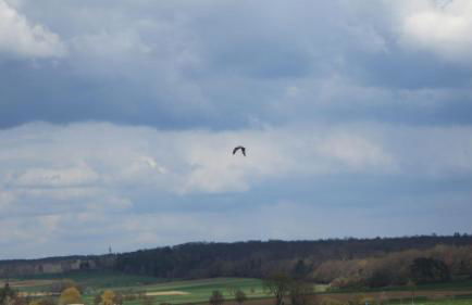 Wohnung-Aublick - Foto 17