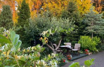 Domek przy lesie Mazury - noclegi całoroczne - Foto 32