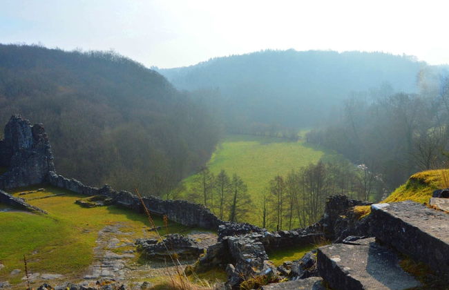 Holiday Home in Falaen Near Montaigle Castle - Foto 37