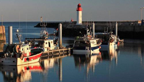 Appartement cosy 2 pièces à 600m de la plage à Dolus-d'Oléron - FR-1-246A-141 - Foto 3