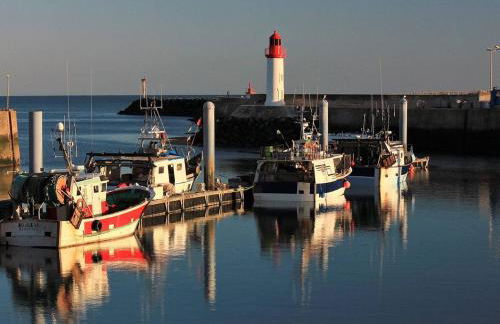 Appartement cosy 2 pièces à 600m de la plage à Dolus-d'Oléron - FR-1-246A-141 - Foto 3