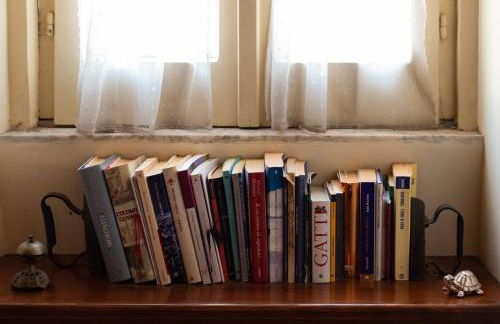 Marbel Gandolfo - Foto 11