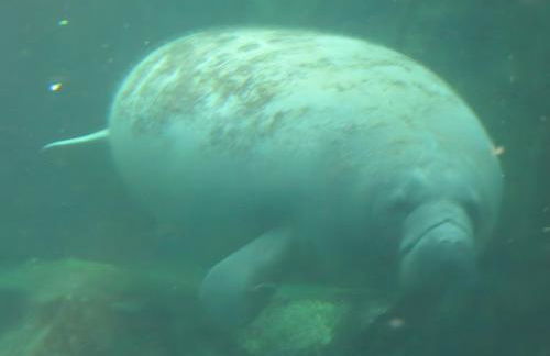 Le Four À Pain Du Moulin Lasnier - Foto 17