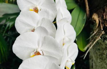 Vivenda São José - Oceanfront Paradise - Photo 64