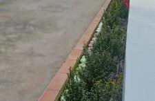 Haris home - Foto 38