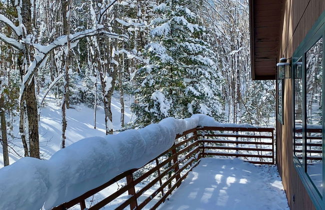 Hauser's Bayfield Cabin - Foto 47