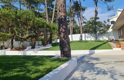 Pinheiro Manso - Foto 33